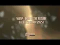 Download Lagu Wasp - Run To The Future (Alex Ch Remix 2k25)