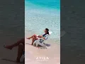 Curacao s Safest Paradise Awaits Stay at the Hotel on TripAdvisor the Avila Beach Hotel