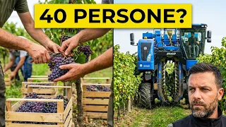 VENDEMMIATRICE MECCANICA: raccoglie 1 ETTARO in POCHISSIMO