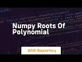 numpy roots of polynomial