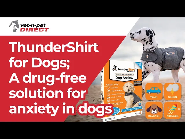 Thundershirt for Dogs