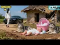 Download Lagu Mẹ Bỏ Bé Gái Sơ Sinh Nằm Trước Cửa Nhà Nghèo Đi Làm Giàu, 10 Năm Sau Thành CEO Quay Lại Tìm Con