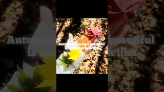 So Don T Stress To Much Ok Autumn Youtube Music Aesthetic Bts 