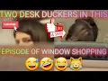 Oxford Mi Window Shopping Part 1