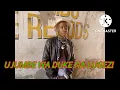 Download Lagu SHINGA MAGAJI _-_ UJUMBE WA DUKE NA LUGEZI _-_ BY LWENGE STUDIO