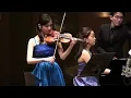 Kreisler: Rondino on Beethoven's theme