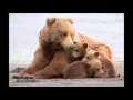 When Grizzlies Walked Upright Picture