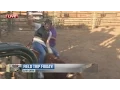 Scott Pasmore bull riding in Cave Creek