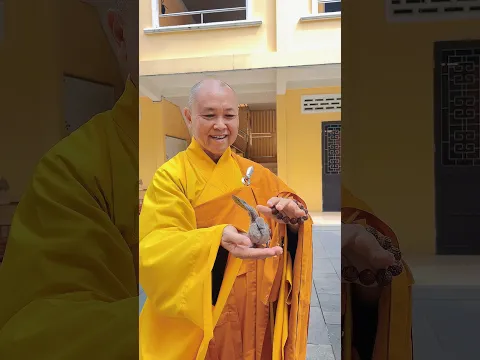 Đất Lành Chim Đậu | HT. Thích Chân Tính