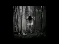 Chloe's Lament - Creepy Music Box