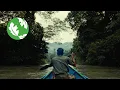 Download Lagu Borneo: The Lungs of the World