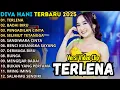 Download Lagu TERLENA - BADAI BIRU - PENGADILAN CINTA - DIVA HANI FULL ALBUM TERBARU 2025 || SIMPATIK MUSIC