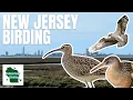 Is This the Best Birding Spot in New Jersey