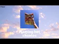 Download Lagu Flaming hot Cheetos I Clairo I 1HOUR