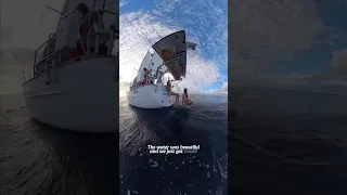 Day 6 sailing across the Pacific Ocean