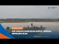 Download Lagu MADIUN - Air Waduk Dawuhan Surut, Warga Berburu Ikan