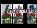 Fastest Growing Shade Tree in America - I Filmed It for the Last 9 Years