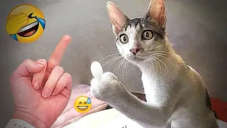 ๐ Funniest Cats 2025 | Hilarious Cat Videos Compilation ๐๐ซ