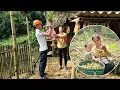 Download Lagu Picking forest fruits to sell, the CEO did not give up because of his love for mother and daughter.