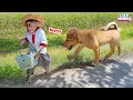 Download Lagu Will Lily be able to get past the dog and deliver the food to Dad? | Lily's story