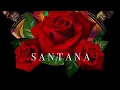 Mandragora - Santana