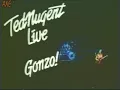 TED NUGENT (live) - Free For All