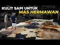 Lagu 13 KULIT SAPI QURBAN TERNYATA SEBESAR INI GAES..!