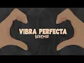 Bohemio - Vibra Perfecta (Lyric Video)