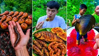 Best real food ever! | Grilled Duck Eggs, Dobsonfly Larvae | Tiktok Funny Videos