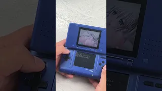 Что будет если запустить вирус на Nintendo DS What Happens If You Run A Virus On A Nintendo DS 