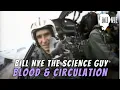 Bill Nye The Science Guy on Blood Circulation