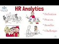 What is HR Analytics HRM From A Business Professor