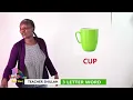 3 LETTER WORD LESSON 1 - PP1 PP2 Teacher Shyla