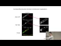 Download Lagu R4B Symposium - Leendert Hamoen
