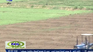 سلام للمنجل المركوز   الامين عبدالغفار دندنها