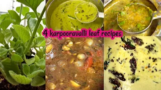 4 கற்பூரவள்ளி Recipes | ஓமவள்ளி சட்னி | ஓமவள்ளி ரசம் | ஓமவள்ளி மோர் குழம்பு | ஓமவள்ளி காரக் குழம்பு