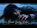 Download Lagu Tere Bina Saans Nahi – Heart Touching Emotional Love Song