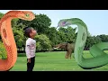Download Lagu Fishing and snake attack || elephant attack || snake video #vfx
