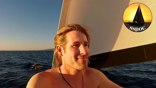 Solo Sailing BAJA MX | Night Sailing, Elephantes, & A SHARK! – Ep. 85