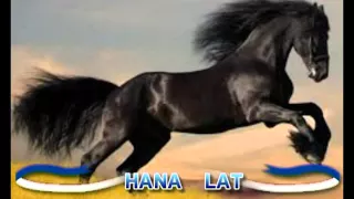 جيبولي عودي دمدام Djibouli 3awdi Damdam 