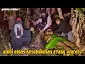Lagu UMBI EMAS KESEMBUHAN EYANG TOMBRO