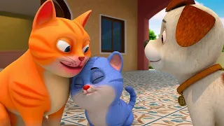 meow meow billi karti more popular nursery rhymes for kids putu playtime