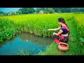 Download Lagu Fishing Video || The Skilled Village Girl Collects Money by Fishing Constantly || Hook Fishing