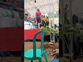 Download Lagu orgen lampung #orgenlampung #viral