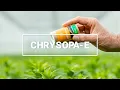 Chrysopa-E informatie video