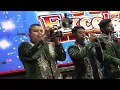 Llorar Quedito - Marimba Orquesta Maya Excelsior