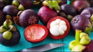 It's time for a taste test! After learning all the benefits of a mangosteen, it was hard to turn dow. 