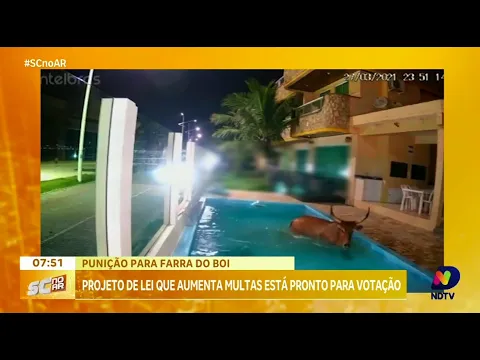 Alerta policial: Quaresma e o combate à Farra do Boi em Santa Catarina