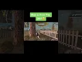 Lagu Mees You Old Free Fire๐ฅบ #freefire #foryou #freefireshorts #foryourpage #shotviralvideo #RIMIX
