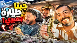 اخييييراً رجعوا مصر بالسلامة 🤗 (جايبين طن جمبري معاهم😂)